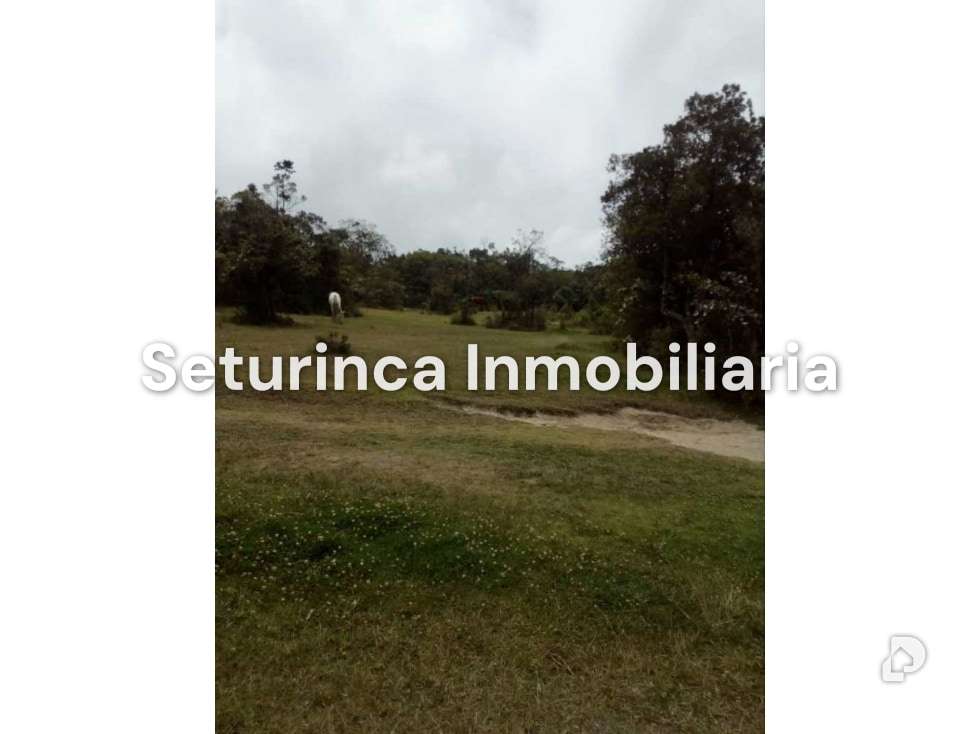 Terreno en El Junquito, Caracas – 14