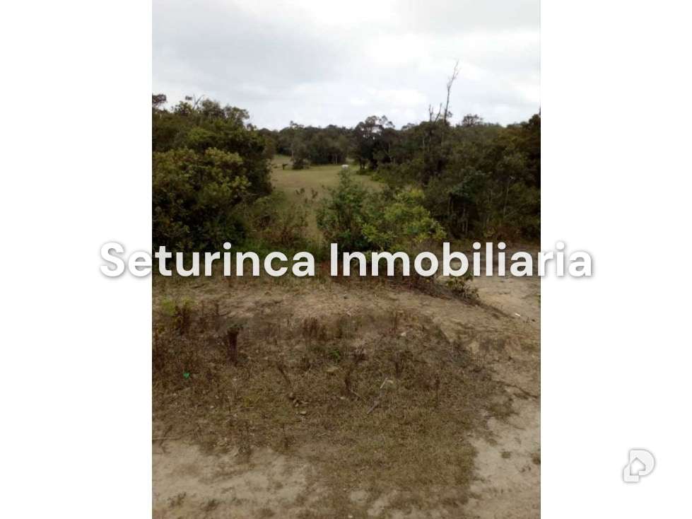 Terreno en El Junquito, Caracas – 21