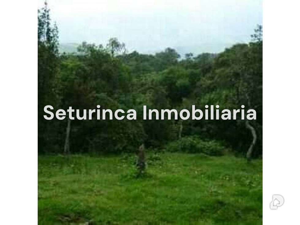 Terreno en El Junquito, Caracas – 6