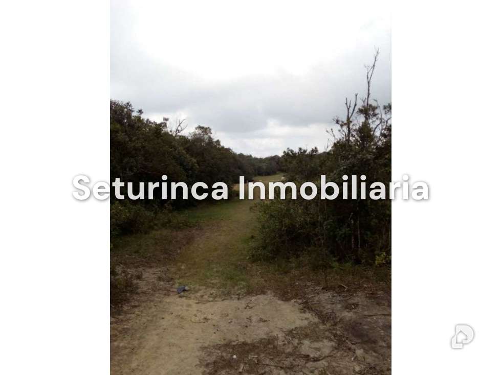 Terreno en El Junquito, Caracas – 15
