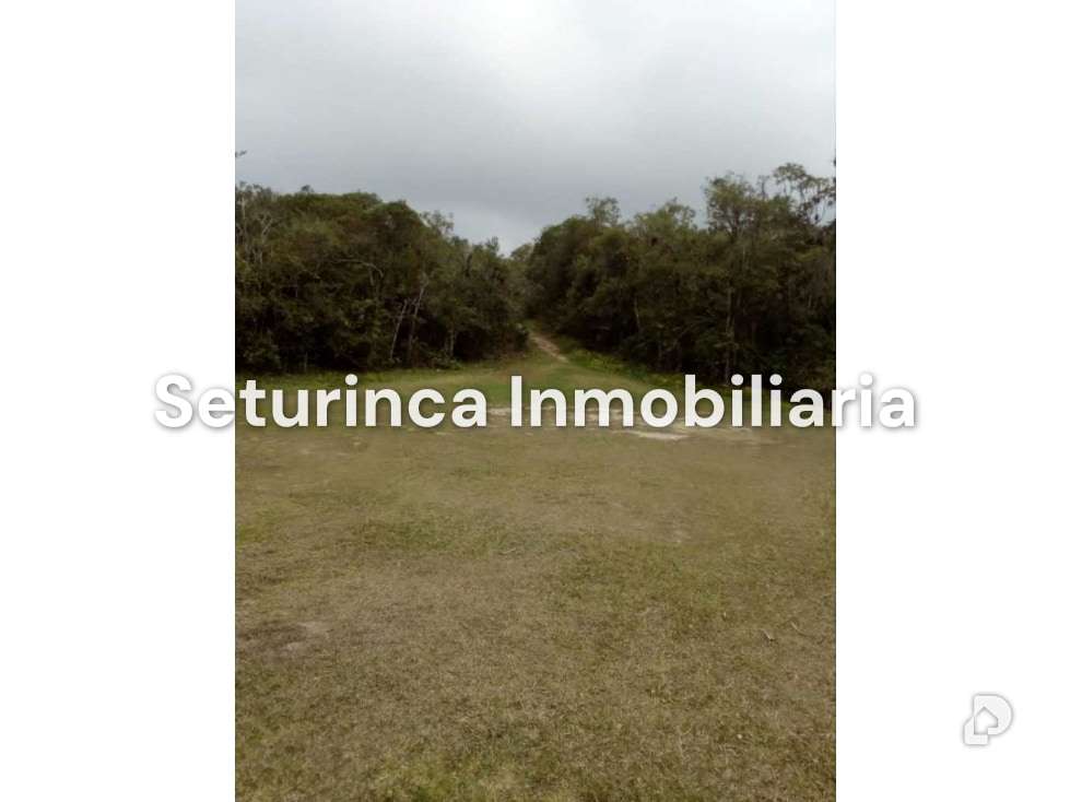 Terreno en El Junquito, Caracas – 8