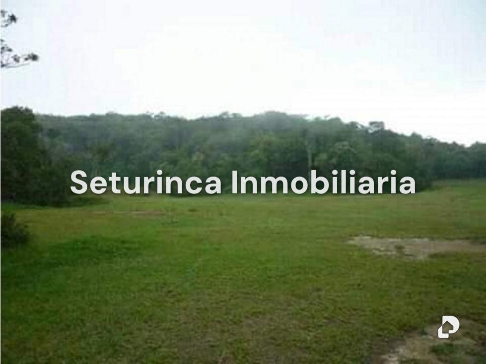 Terreno en El Junquito, Caracas – 5