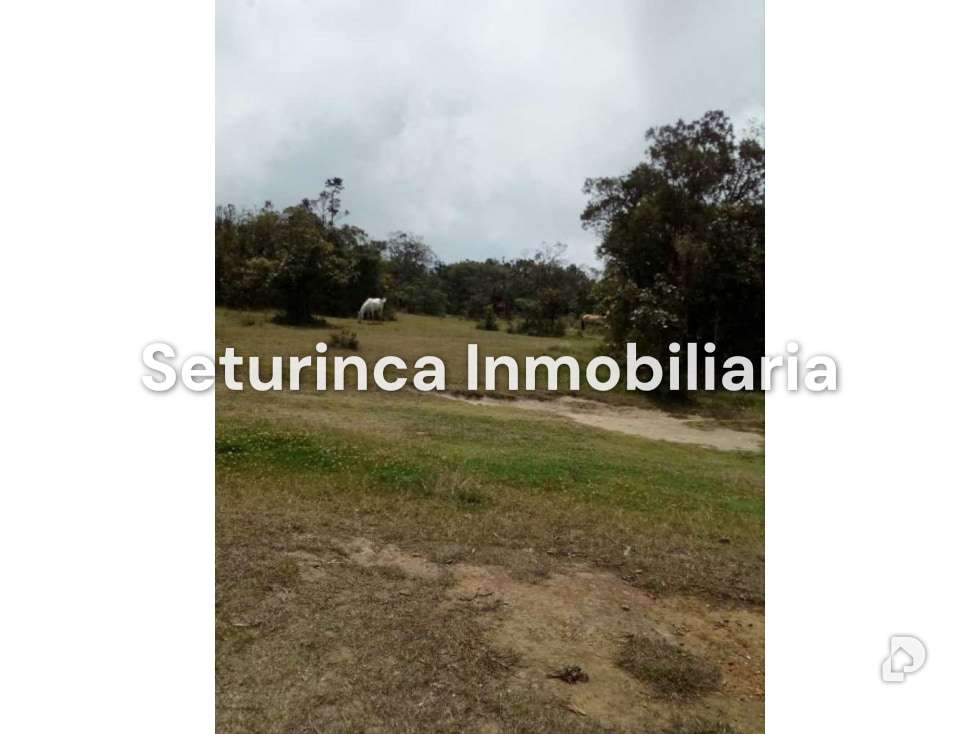 Terreno en El Junquito, Caracas – 19