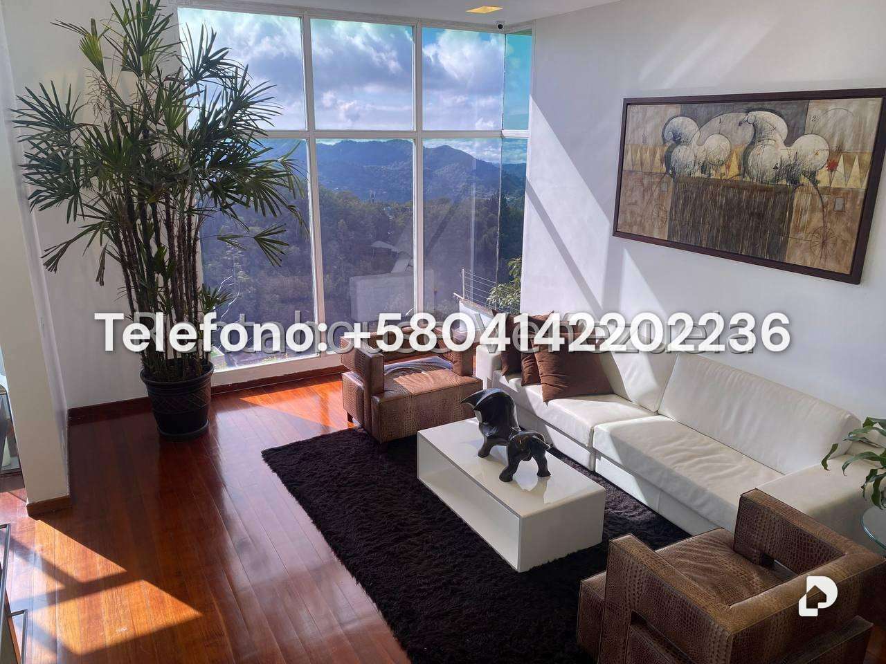 Casa en Los Guayabitos, Caracas – 6