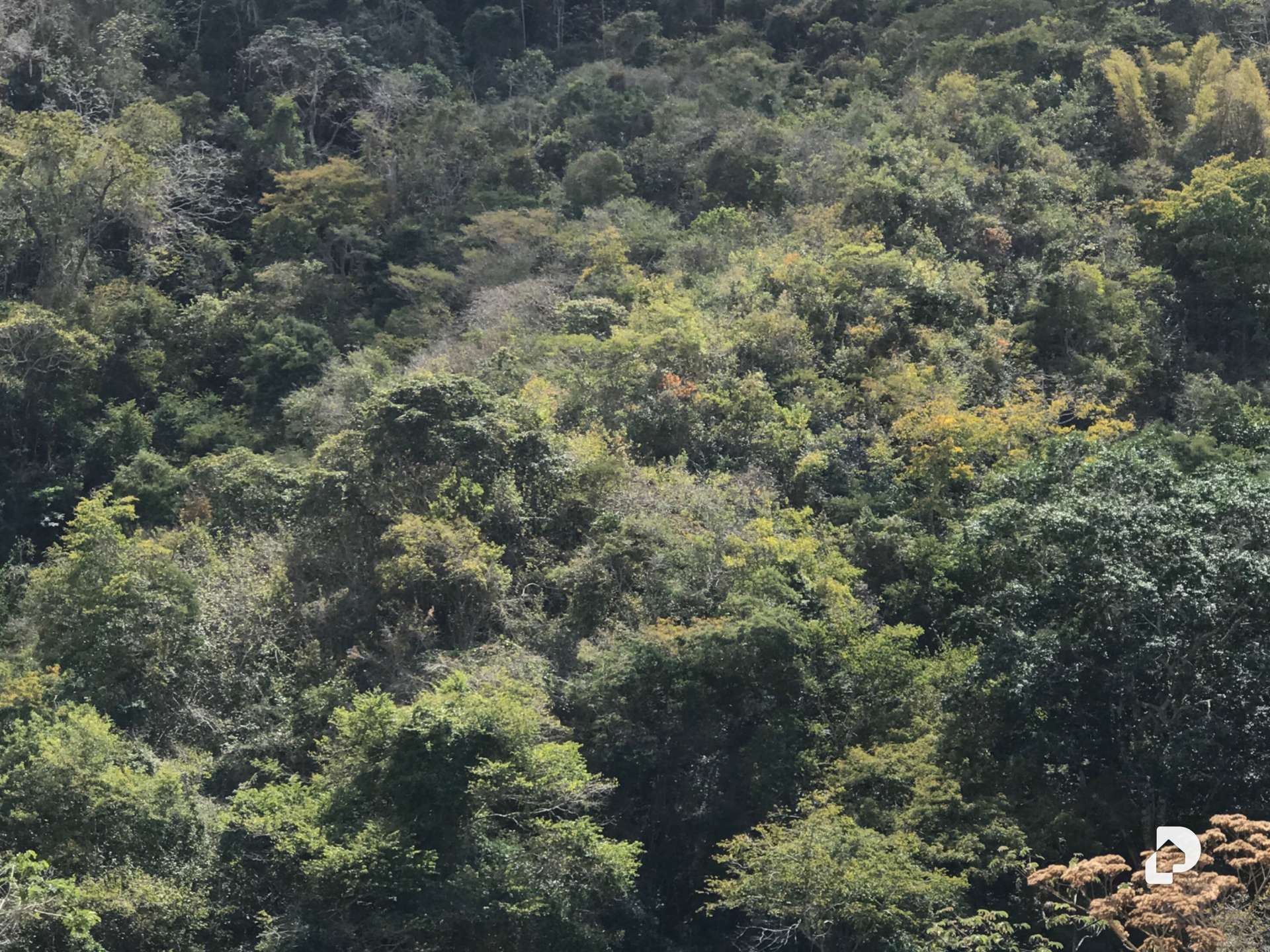 Casa en El Hatillo, Caracas – 19