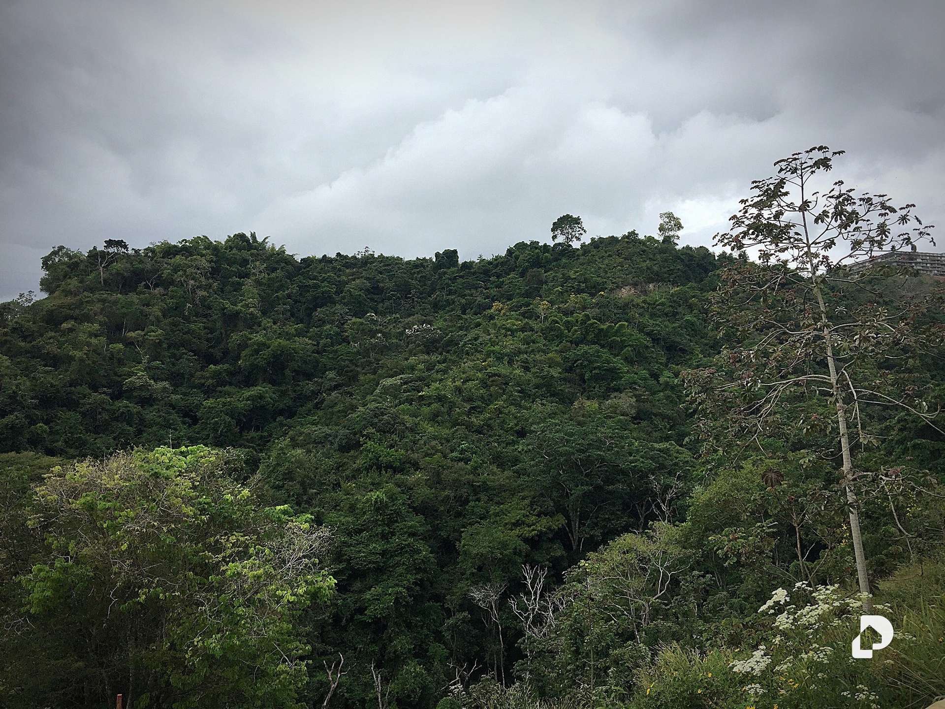 Casa en El Hatillo, Caracas – 21