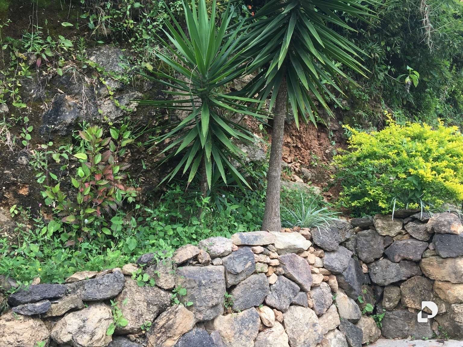 Casa en El Hatillo, Caracas – 16