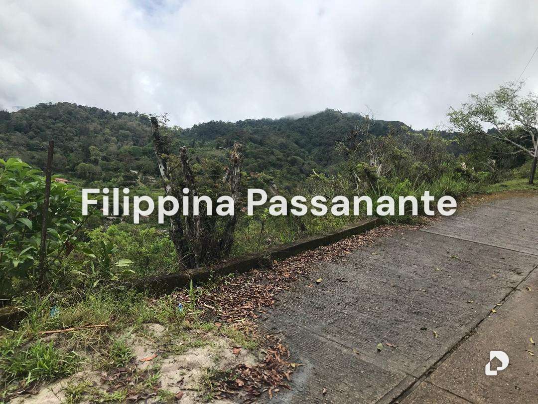 Terreno en Teresen, Caripe – 6