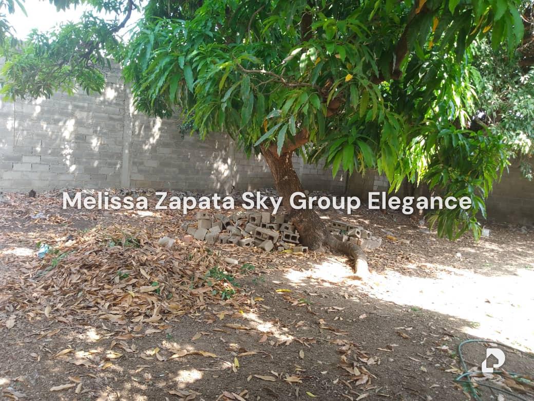 Terreno en Barquisimeto – 2