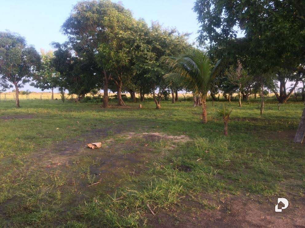 Finca en Sector Corozopando, San Fernando de Apure – 8