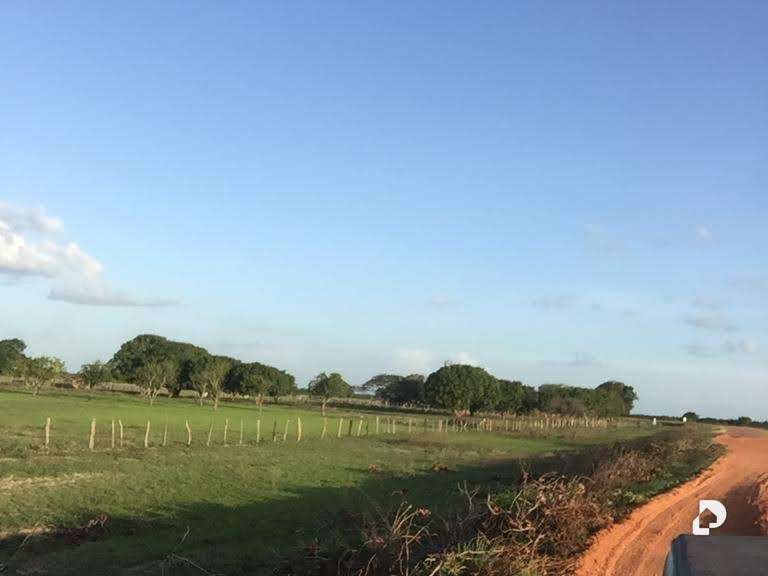 Finca en Sector Corozopando, San Fernando de Apure – 17