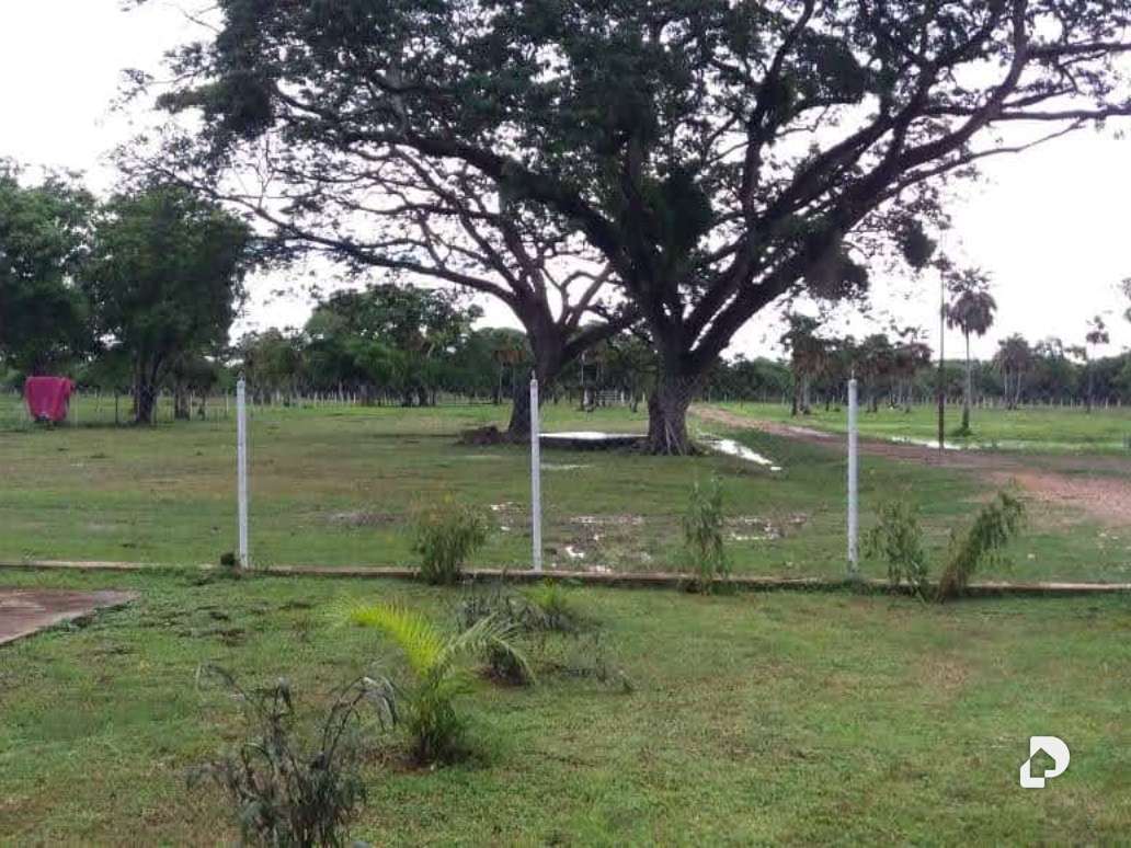 Finca en Sector Corozopando, San Fernando de Apure – 7