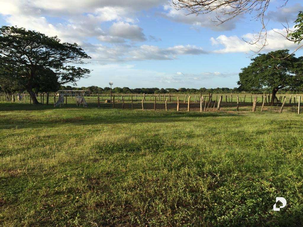 Finca en Sector Corozopando, San Fernando de Apure – 2