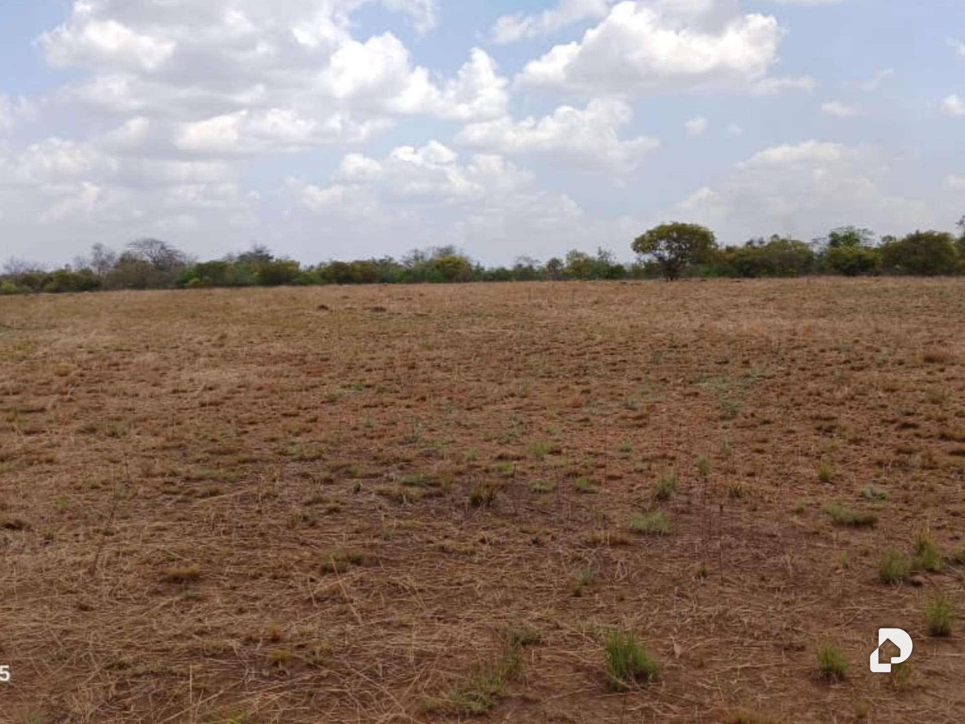 Finca en Sector Corozopando, San Fernando de Apure – 10