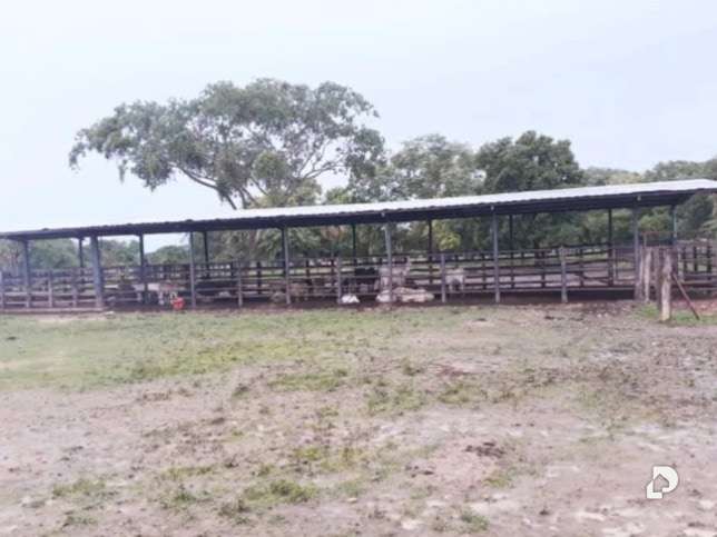 Finca en Sector Corozopando, San Fernando de Apure – 12
