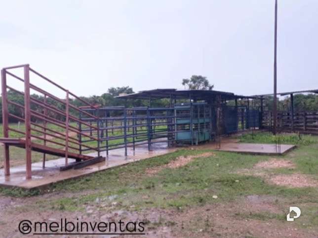 Finca en Sector Corozopando, San Fernando de Apure – 11