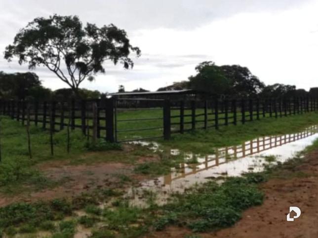Finca en Sector Corozopando, San Fernando de Apure – 1