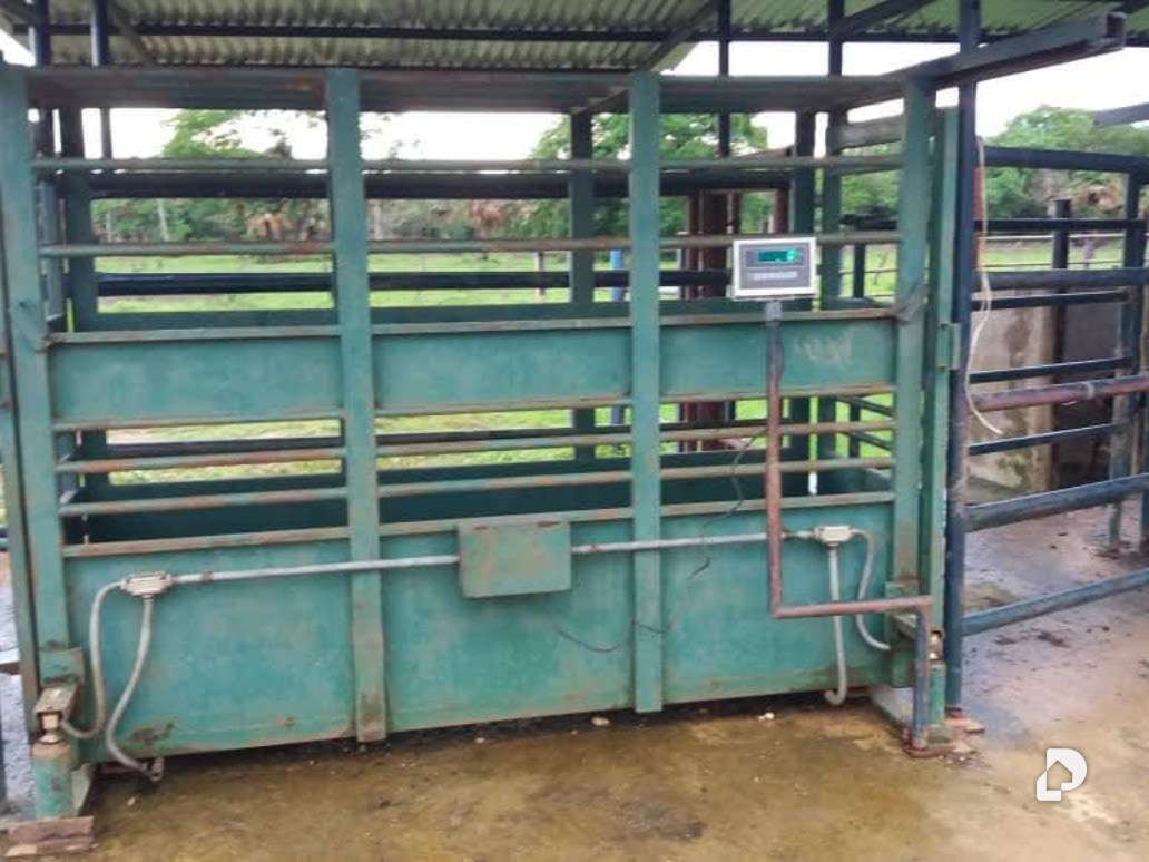 Finca en Sector Corozopando, San Fernando de Apure – 16