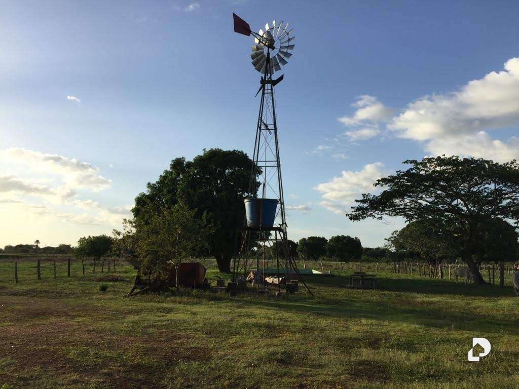 Finca en Sector Corozopando, San Fernando de Apure – 6