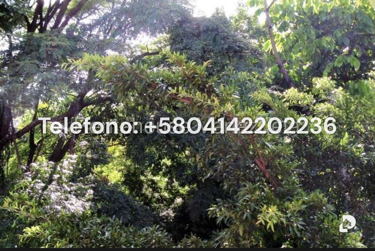 Anexo en Altamira, Caracas – 8