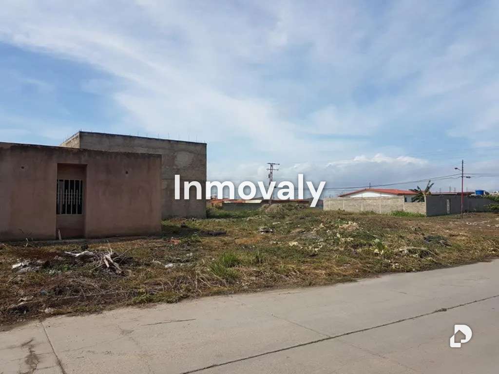 Terreno en Ciudad Alianza, Guacara – 3