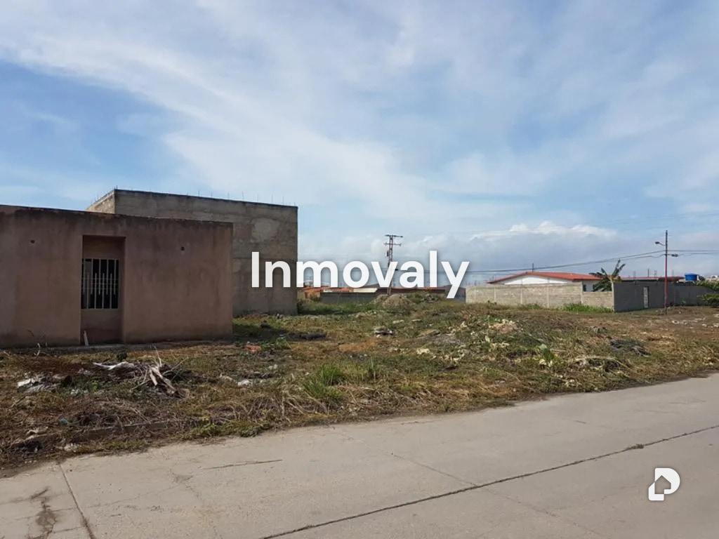 Terreno en Ciudad Alianza, Guacara – 3