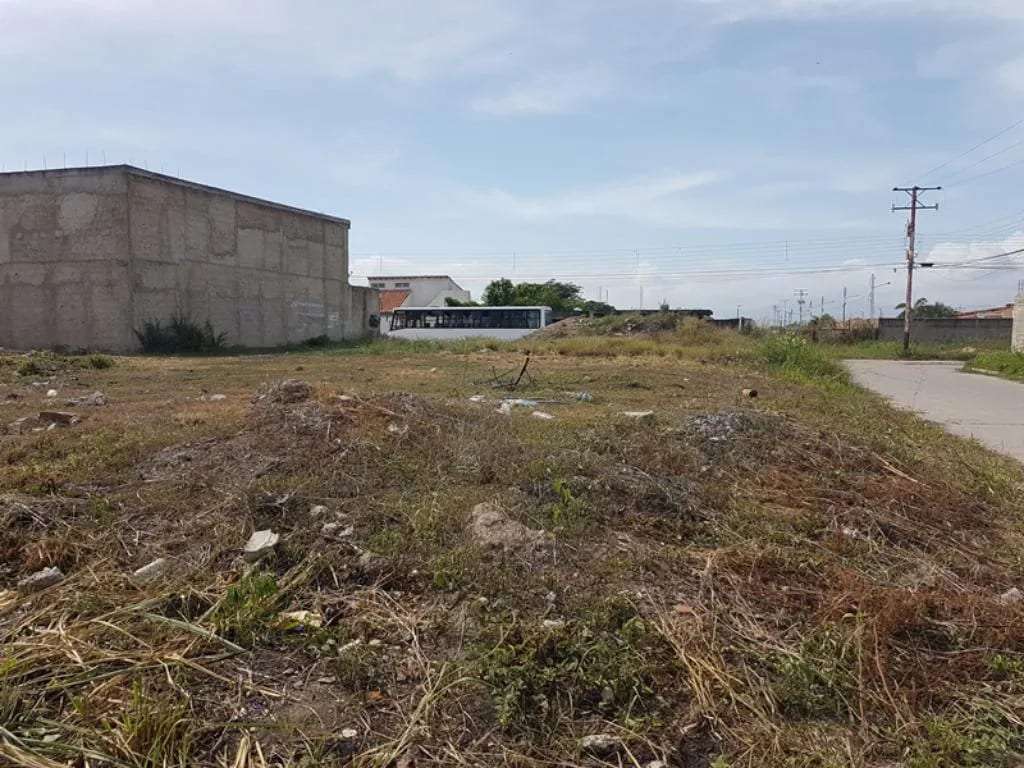 Terreno en Ciudad Alianza, Guacara - 1
