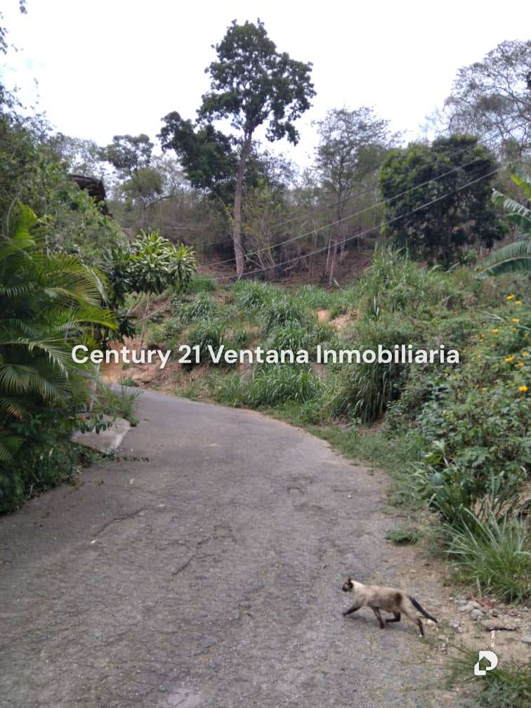 Terreno en El Hatillo, Caracas – 2